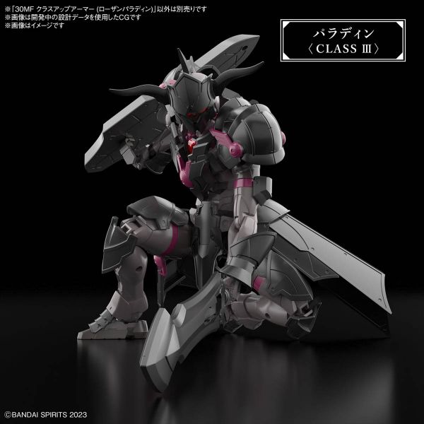 30MF Class Up Armor (Rosan Paladin) (30 Minutes Fantasy) Additional Image 6