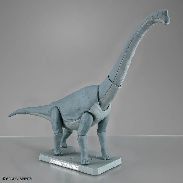 Plannosaurus Brachiosaurus Image