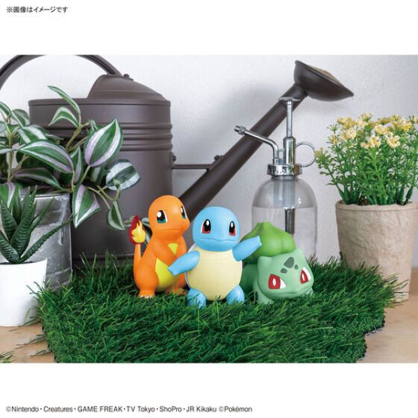 Pokemon Plamo Collection Quick!! 11 + 13 + 17 Charmander Bulbasaur Squirtle Set (Pokemon) Additional Image 7