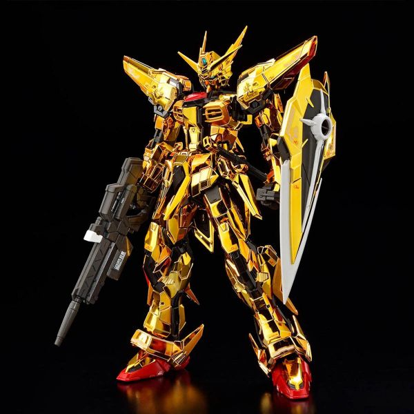 RG Real Grade Gunpla top product image