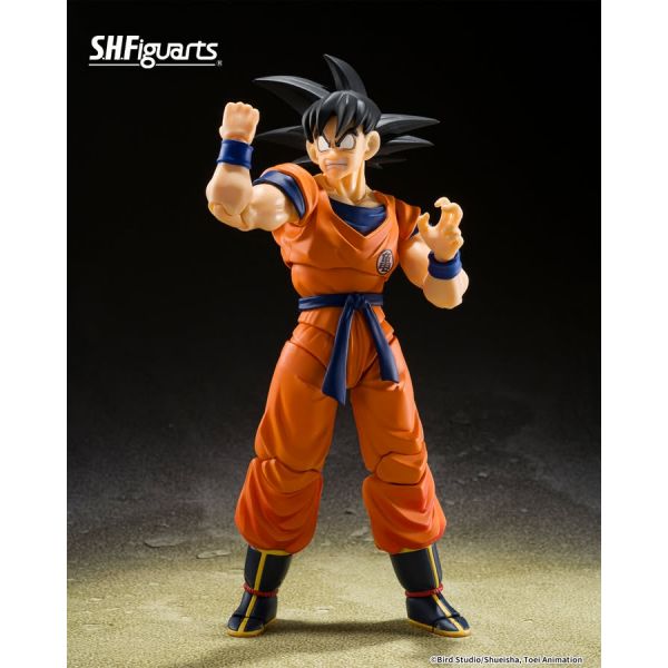 S.H.Figuarts Son Goku & Son Gohan Kid & Kintoun (Dragon Ball) Additional Image 6