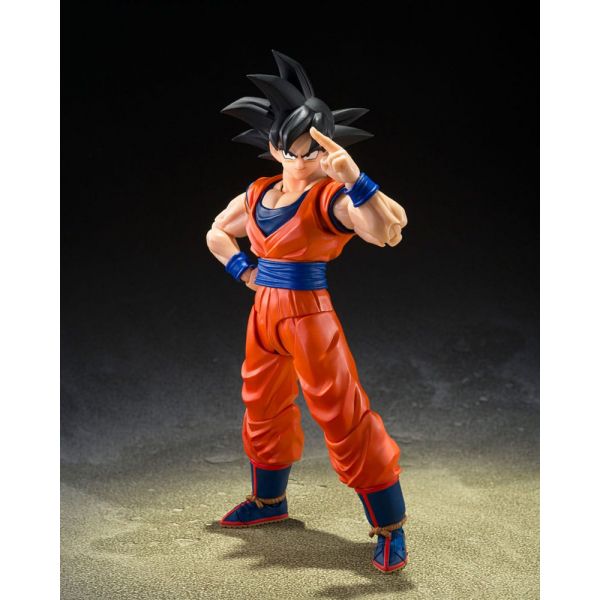 S.H.Figuarts Son Goku (The Kind-Hearted Saiyan) (Dragon Ball Z) Additional Image 1