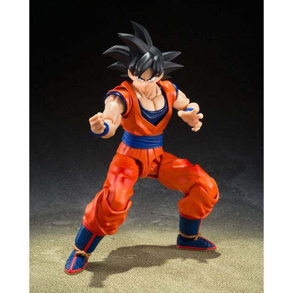 S.H.Figuarts Son Goku (The Kind-Hearted Saiyan) (Dragon Ball Z) Additional Image 2