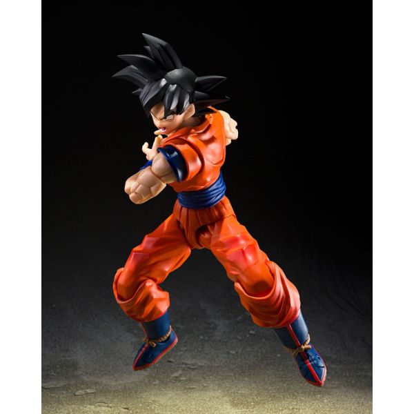S.H.Figuarts Son Goku (The Kind-Hearted Saiyan) (Dragon Ball Z) Additional Image 4