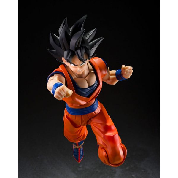 S.H.Figuarts Son Goku (The Kind-Hearted Saiyan) (Dragon Ball Z) Additional Image 5