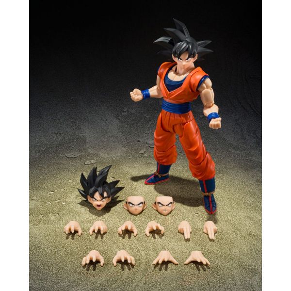 S.H.Figuarts Son Goku (The Kind-Hearted Saiyan) (Dragon Ball Z) Additional Image 7