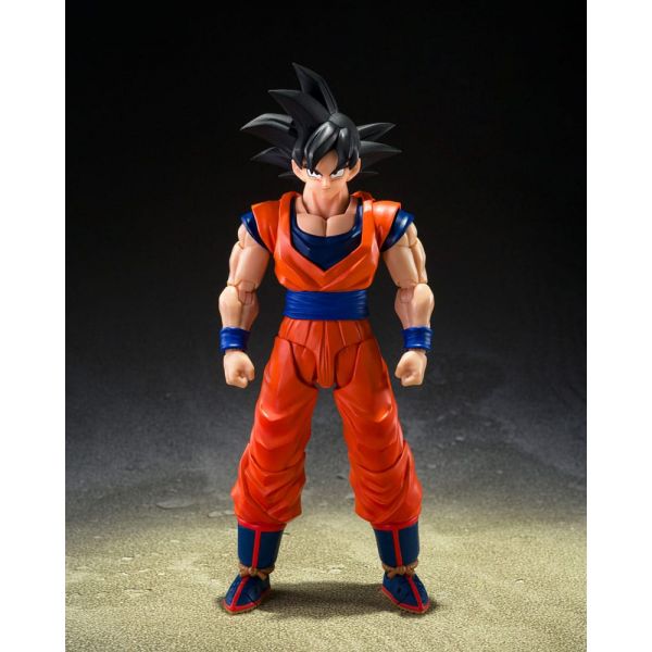 View Popular Pre-orders
