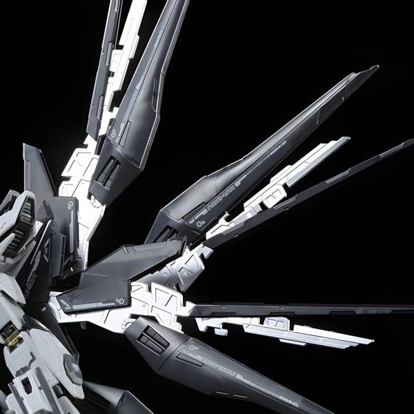 RG Strike Freedom Gundam Deactive Mode [P-Bandai] Additional Image 5