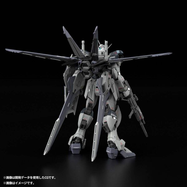 RG Force Impulse Gundam Deactive Mode [P-Bandai] Additional Image 4