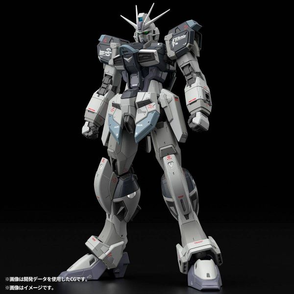 RG Force Impulse Gundam Deactive Mode [P-Bandai] Additional Image 1