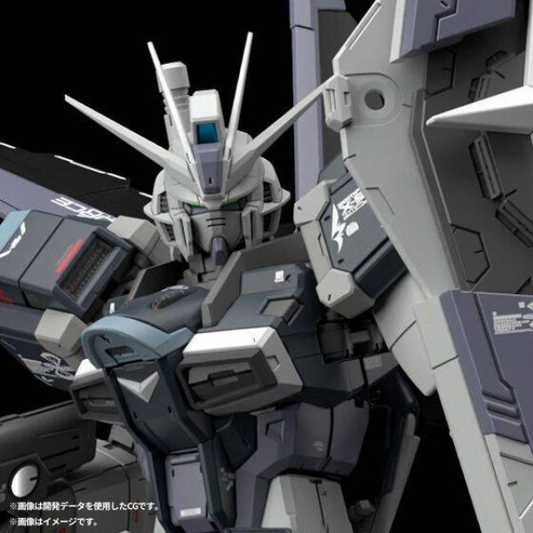 RG Force Impulse Gundam Deactive Mode [P-Bandai] Additional Image 6
