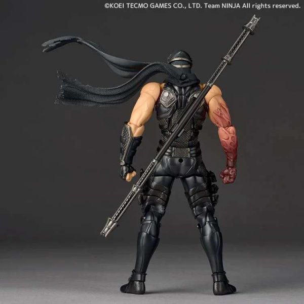 Revoltech Amazing Yamaguchi Ryu Hayabusa (Ninja Gaiden 3: Razor's Edge) Additional Image 1