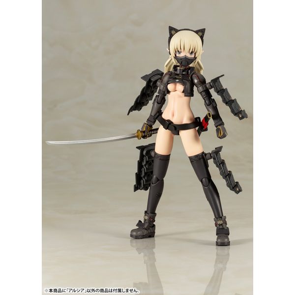 Frame Arms Girls Arsia (Humikane Shimada Art Works II) Image