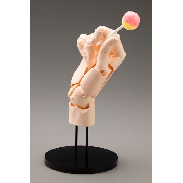 Artist Support Item Hand Model/Right Hand (Pale Orange Ver.) (Designed by Takahiro Kagami) Additional Image 5
