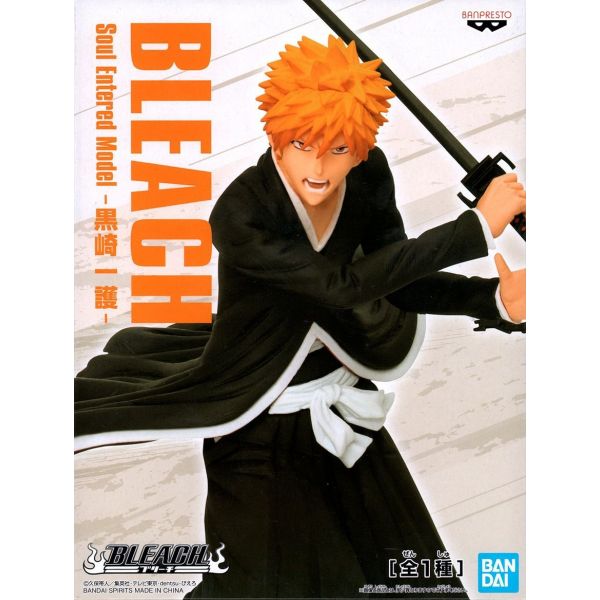 Ichigo Kurosaki Soul Entered Model (Bleach) Image