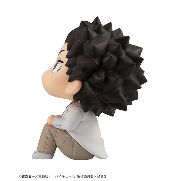 Look Up Hajime Iwaizumi (Haikyu!!) Additional Image 4