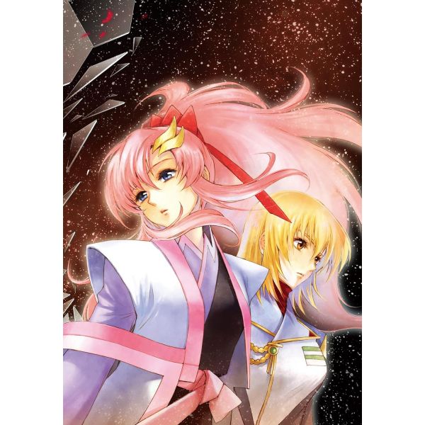 New Edition Mobile Suit Gundam SEED DESTINY THE EDGE Desire Vol. 02 (Japanese Version) Additional Image 2