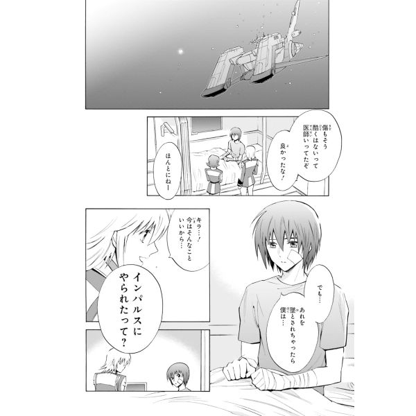 New Edition Mobile Suit Gundam SEED DESTINY THE EDGE Desire Vol. 02 (Japanese Version) Additional Image 5