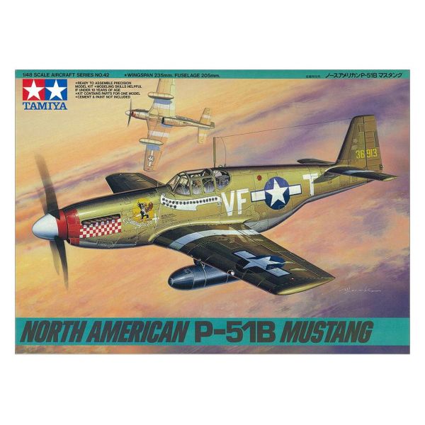 North American P-51B Mustang Additional Image 1