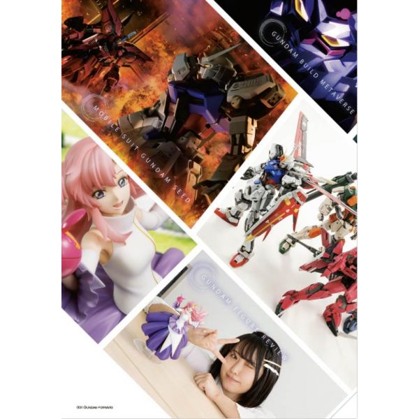 Gundam Forward Vol. 11 Image