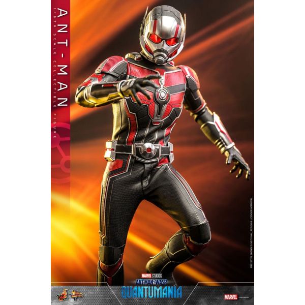 Movie Masterpiece Ant-Man (Ant-Man & The Wasp: Quantumania) Additional Image 4