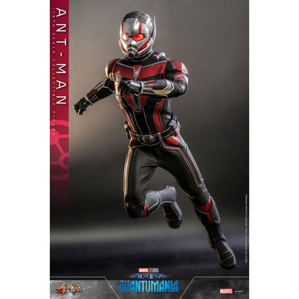 Movie Masterpiece Ant-Man (Ant-Man & The Wasp: Quantumania) Additional Image 7