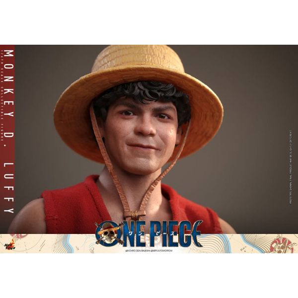 Monkey D. Luffy (Netflix) (One Piece) Additional Image 8