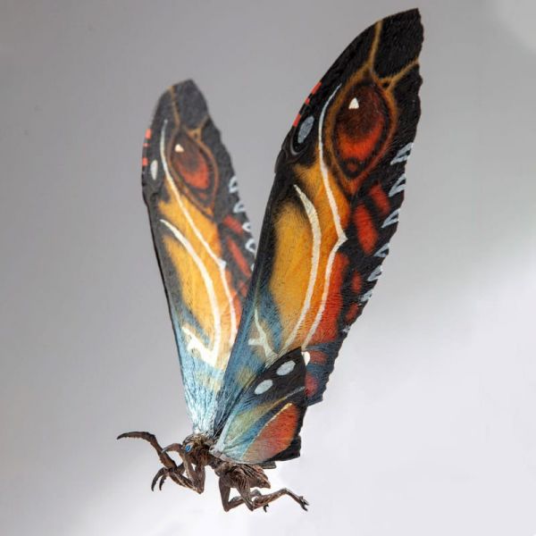 Exquisite Basic Mothra Action Figure (Godzilla: King of the Monsters) Main Image