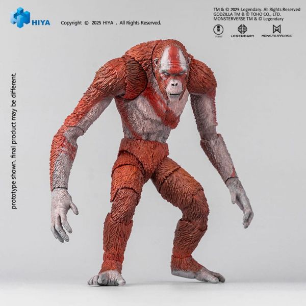 View Latest Pre-orders