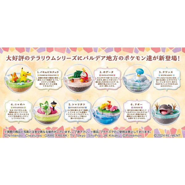 [Gashapon] Pokemon: Terrarium Collection EX -To the World of Paldea- (Single Randomly Drawn Item from the Line-up) Additional Image 2