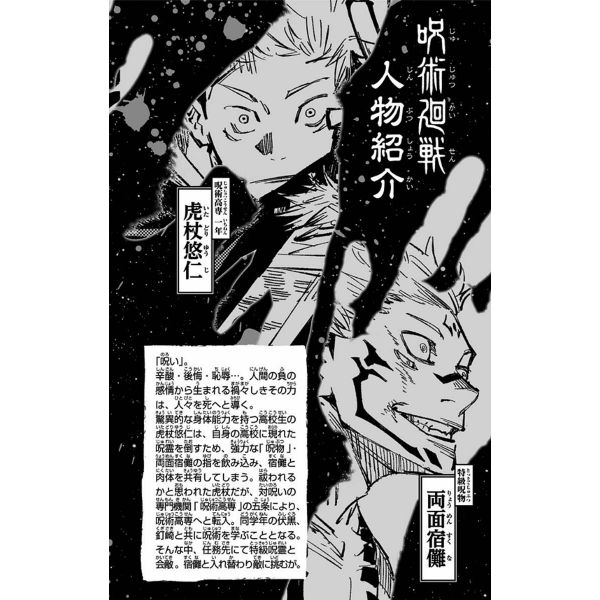 Jujutsu Kaisen Vol. 02 (Japanese Version) Additional Image 2