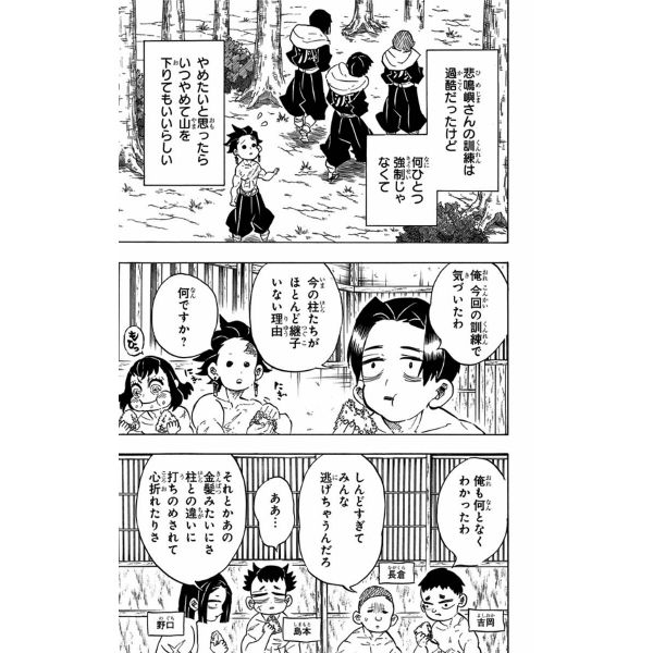 Demon Slayer Vol. 16 (Japanese Version) Additional Image 5