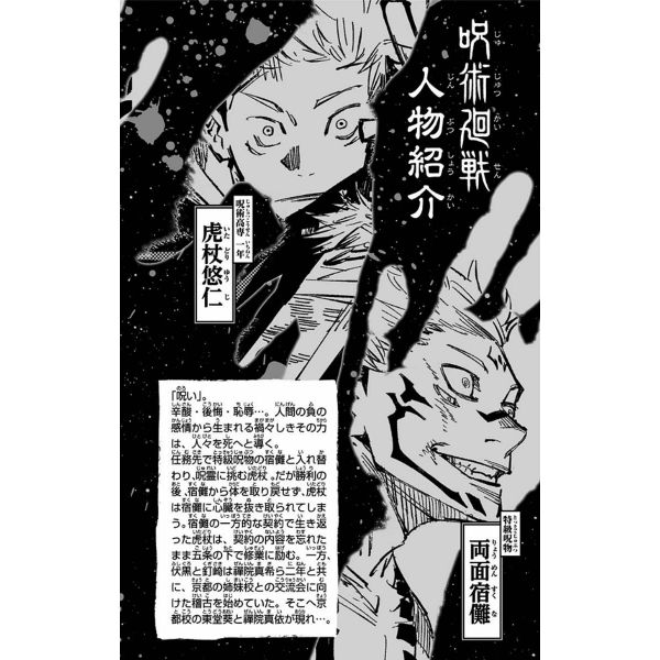 Jujutsu Kaisen Vol. 03 (Japanese Version) Additional Image 2