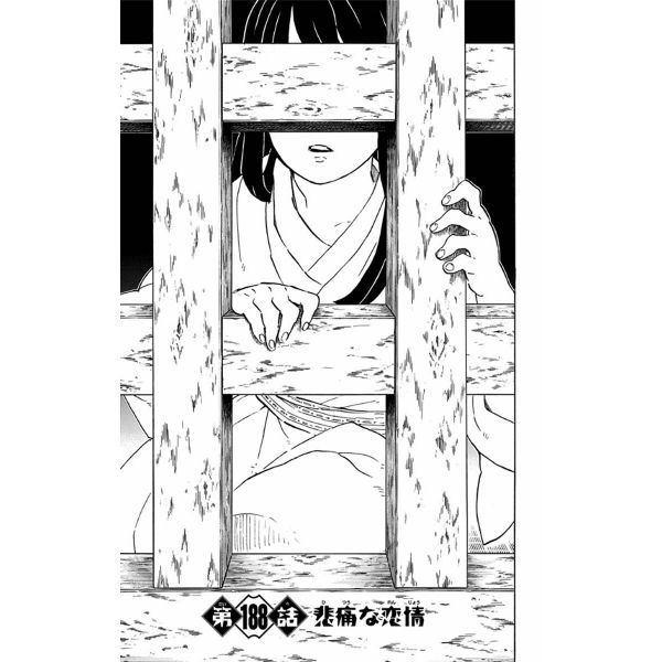 Demon Slayer Vol. 22 (Japanese Version) Additional Image 5