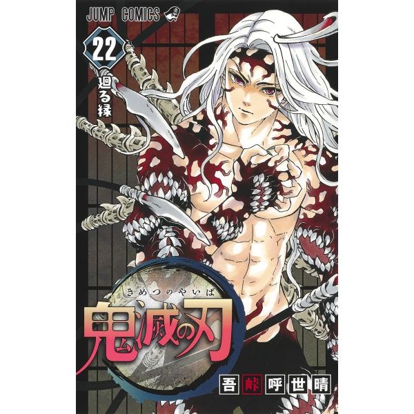 Demon Slayer Vol. 22 (Japanese Version) Main Image