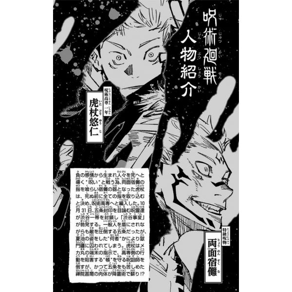 Jujutsu Kaisen Vol. 12 (Japanese Version) Image