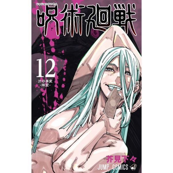 Jujutsu Kaisen Vol. 12 (Japanese Version) Image