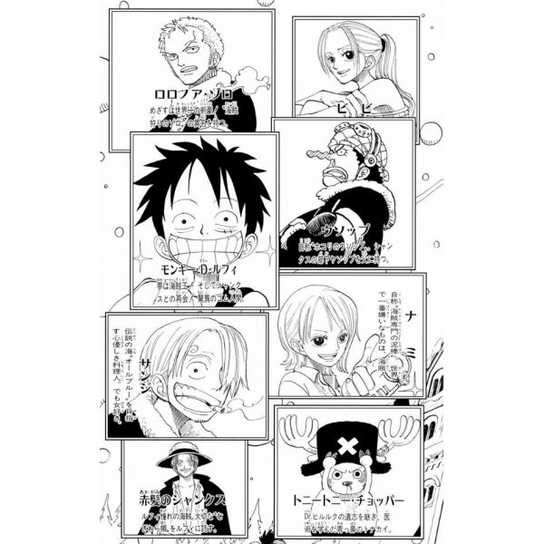 One Piece Vol. 17 (Japanese Version) Image