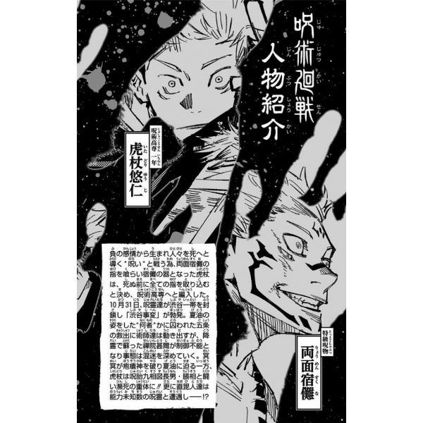 Jujutsu Kaisen Vol. 13 (Japanese Version) Additional Image 2